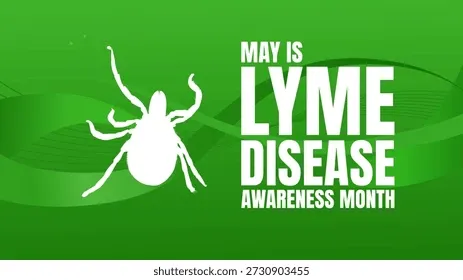 lyme disease