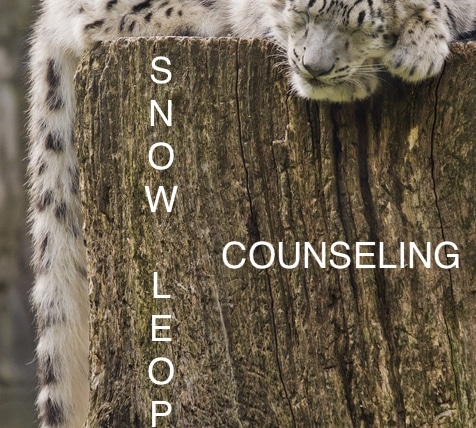 Snow Leopard Counseling
