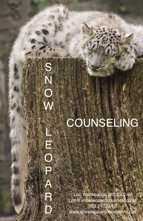 Snow Leopard Counseling
