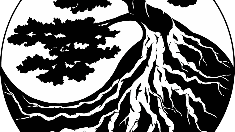 Two Roots Acupuncture Wellness Clinic and Herbal Pharmacy